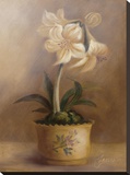 Olivia's Flowers IV