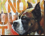 Boxer