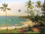 Tropical Coastline
