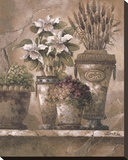 Floral Elegance I