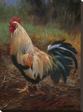 White And Green Rooster