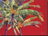 Fire Palm