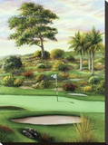 Breezy Green at Emerald Dunes  the 4th