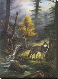 Timber Wolf