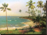 Tropical Coastline