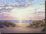 Paradise Dawn