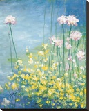 Water Garden