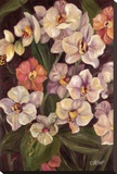 Orchids II