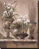 Floral Elegance II
