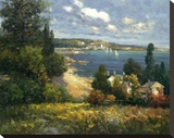 Summer Vista