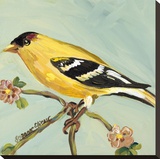 Bird Square I