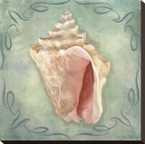 Seashells III