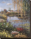 White Rose Garden