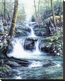 Blue Ridge Falls