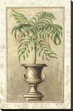 Southern Exposure I