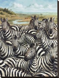 Zebra Gathering