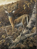 Duke of Autumn