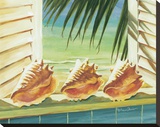 Conched Out