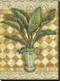 Elegant Palms II