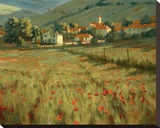 Hillside Village