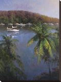 Caribbean Lagoon