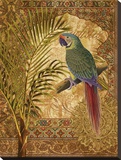 Paradisus IV
