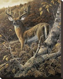 Duke of Autumn