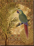 Paradisus IV