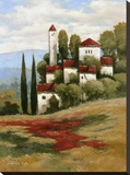 Red Roofs II