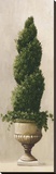 Spiral Topiary
