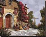 Bougainvillea