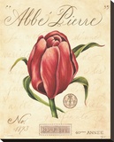 Abbe Pierre