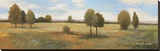 Valley of Gold II