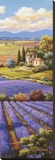 Fields of Lavender I