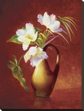 Tropical Tulips