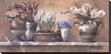 Antique Blossoms