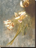 Tulip Rhythms