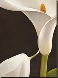 Calla moderna I