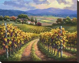 Vineyard Hill I