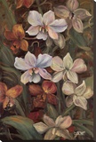 Orchids I