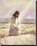 Shepherd