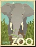 Zoo Elephant