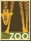 Zoo Giraffe
