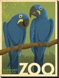 Zoo Maccaw