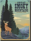 Great Smoky Mountains Deer