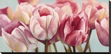 Printemps