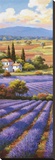 Fields of Lavender II