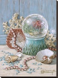 Sea Shell Collection III