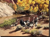 Merriam Turkeys in Cottonwood Canyon
