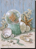 Sea Shell Collection IV